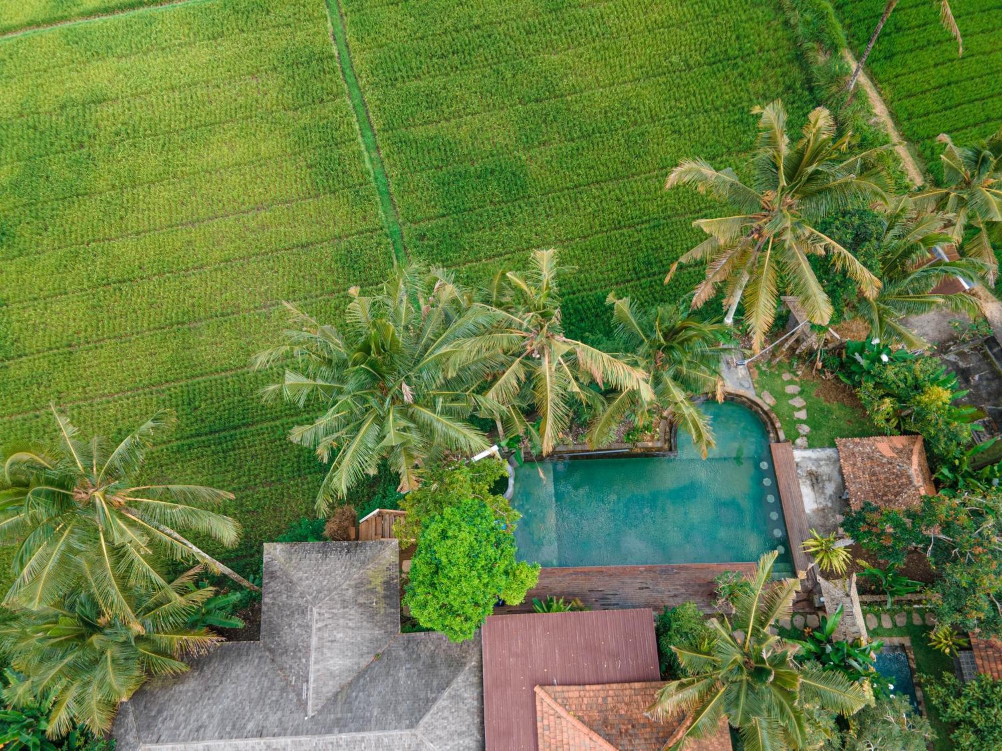 Uma Linggah Resort By Puri Signatures Tampaksiring Eksteriør billede